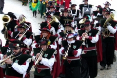 2010_umzug_10_20100213_1078463565
