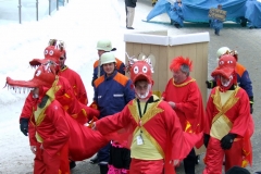 2010_umzug_10_20100213_1144185497