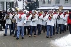 2010_umzug_10_20100213_1447188751