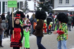 2010_umzug_10_20100213_1489633241