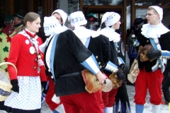 2010_umzug_11_20100213_1057079838