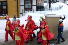 2010_umzug_11_20100213_1991190284