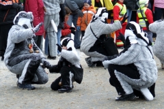 2010_umzug_12_20100213_1507737473