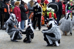 2010_umzug_12_20100213_1752004980