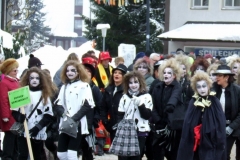 2010_umzug_12_20100213_1819075740