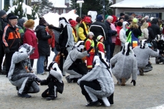 2010_umzug_13_20100213_1564146706