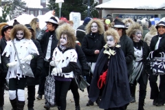 2010_umzug_13_20100213_2022982931
