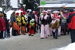 2010_umzug_2_20100213_1298001925