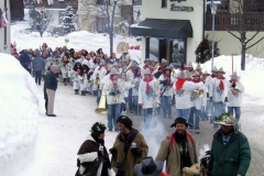 2010_umzug_2_20100213_1340931567