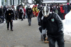 2010_umzug_2_20100213_1385799641