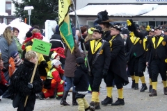 2010_umzug_2_20100213_1651671764