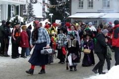 2010_umzug_2_20100213_1655529501