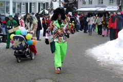 2010_umzug_2_20100213_2048653694