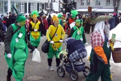 2010_umzug_3_20100213_1249436706