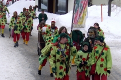 2010_umzug_3_20100213_1258584221