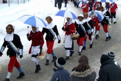 2010_umzug_3_20100213_1452477562