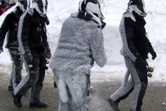 2010_umzug_3_20100213_1801287516