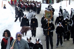 2010_umzug_3_20100213_1885114529