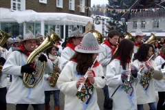 2010_umzug_3_20100213_1948052189