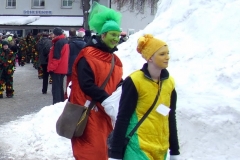 2010_umzug_4_20100213_1112602391