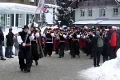 2010_umzug_4_20100213_1124829642
