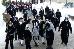 2010_umzug_4_20100213_1125567821