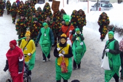 2010_umzug_4_20100213_1221345332