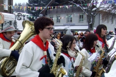 2010_umzug_4_20100213_1703434019