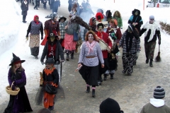 2010_umzug_5_20100213_1290852471