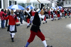 2010_umzug_5_20100213_1433660270