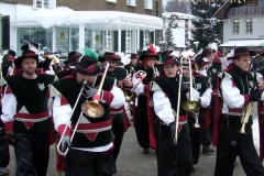 2010_umzug_5_20100213_1632563716