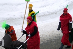2010_umzug_5_20100213_1930700338