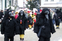 2010_umzug_5_20100213_2099874227