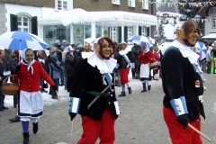 2010_umzug_6_20100213_1070280629