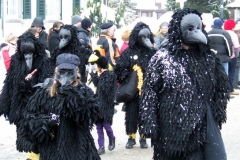 2010_umzug_6_20100213_1097834119