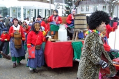 2010_umzug_6_20100213_1221402627