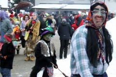 2010_umzug_6_20100213_1253392166