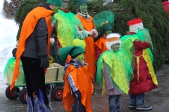 2010_umzug_6_20100213_1901053049