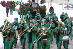 2010_umzug_7_20100213_1037800088