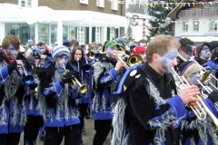 2010_umzug_7_20100213_1048123618
