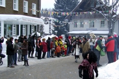 2010_umzug_7_20100213_1423696012