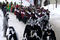 2010_umzug_7_20100213_1645380068