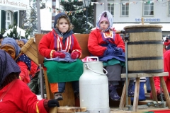 2010_umzug_7_20100213_1842205211