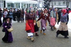 2010_umzug_7_20100213_1925437278