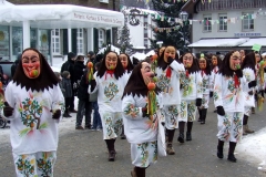 2010_umzug_7_20100213_1951218915