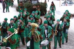 2010_umzug_8_20100213_1093550287