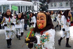 2010_umzug_8_20100213_1270599045