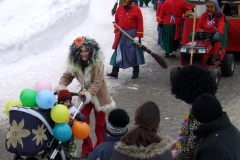 2010_umzug_8_20100213_1375178498
