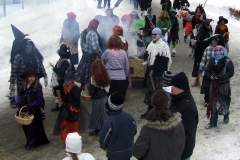 2010_umzug_8_20100213_1375720018