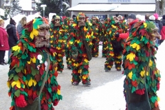 2010_umzug_8_20100213_1428351394